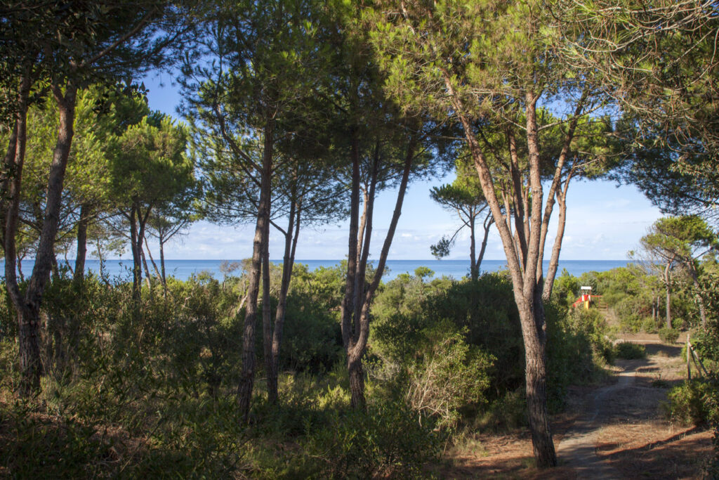 Tenuta Le Marze - Immersi nella natur Tenuta Le Marze - Immersi nella natur