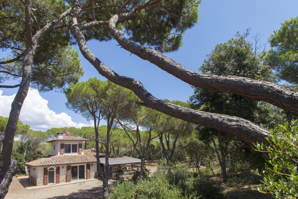 Tenuta Le Marze - Pineta Tenuta Le Marze - Pineta